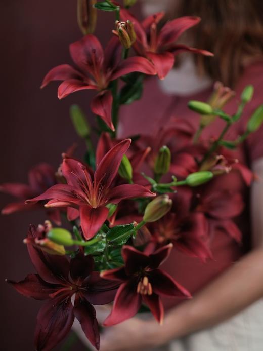 【周四秒杀】黑石百合5支59.8元 商品图0