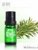 1F宝琪兰茶树精油 商品缩略图0