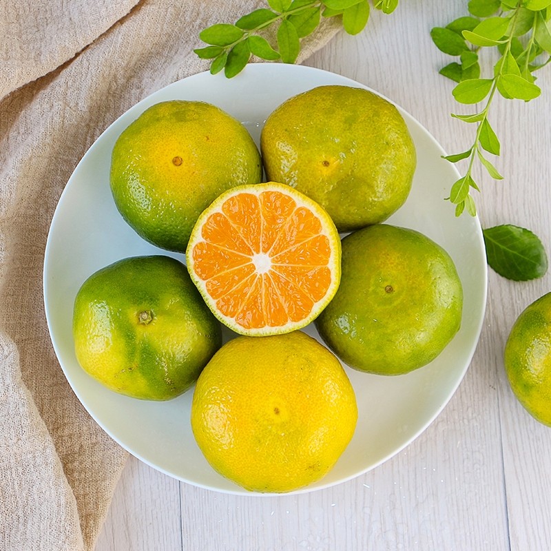 大丰橘子1.99元1斤