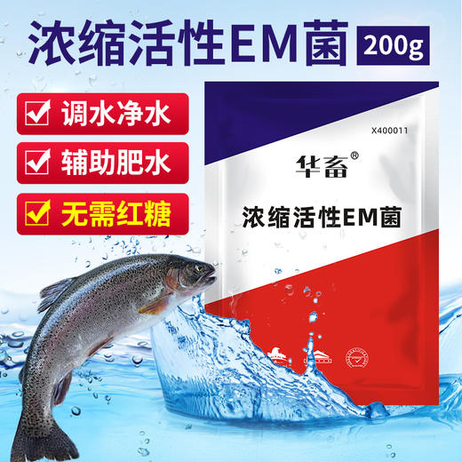 华畜em菌水产养殖原液 超浓缩粉枯草芽孢杆菌 鱼药鱼虾改底调肥水 商品图8
