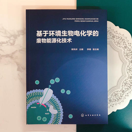 基于环境生物电化学的废物能源化技术 商品图1