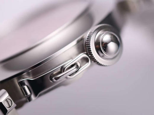 V9卡di亚帕莎系列女装WSPA0013，尺寸45×9.5mm，搭载海鸥2892机芯，自动机械机芯，女士腕表，密底，精钢表带 商品图4