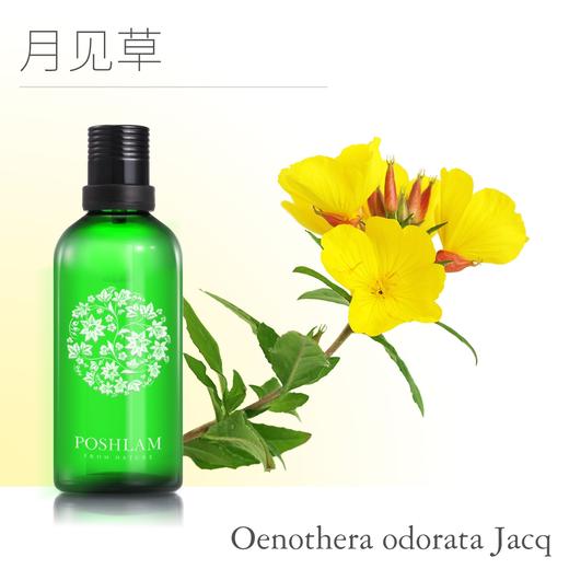 1F宝琪兰月见草基础油 商品图0