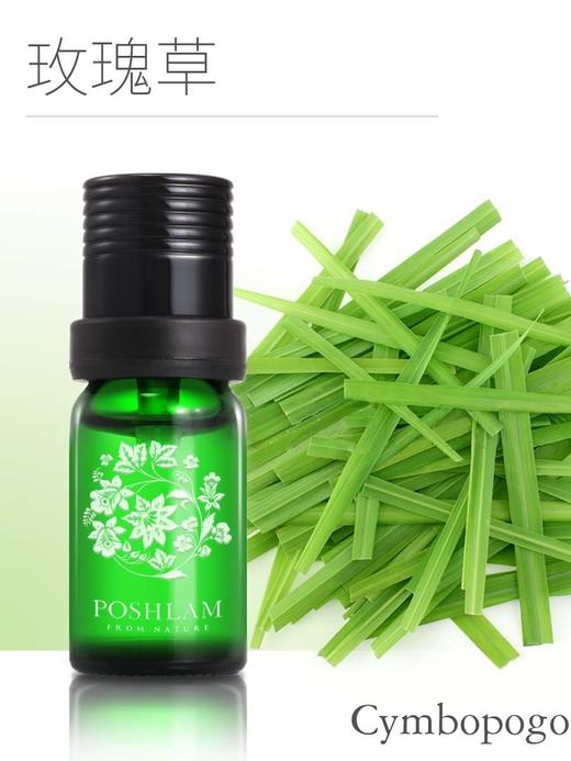 1F宝琪兰玫瑰草精油 商品图0