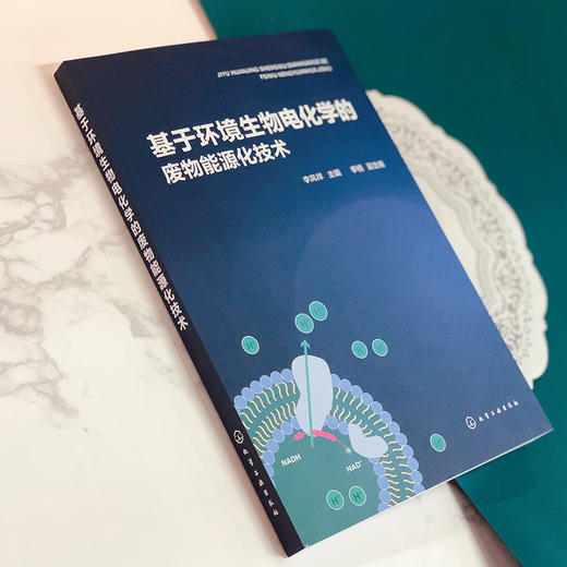 基于环境生物电化学的废物能源化技术 商品图2