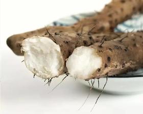 应季的垆土铁棍山药来啦！健脾补肺，固肾益精，男女老幼皆宜的平补美食，快来尝鲜吧！