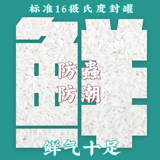 龙米家 东北五常大米稻花香2号贵妃米4罐装 商品图3