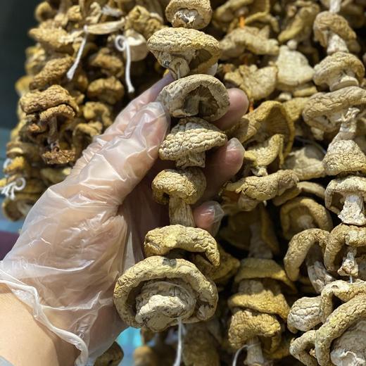 高山野生石渠干白菌 250g 商品图7