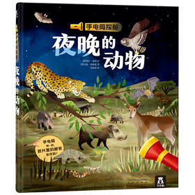 乐乐趣-手电筒探秘 夜晚的动物