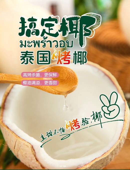 搞定椰 商品图1