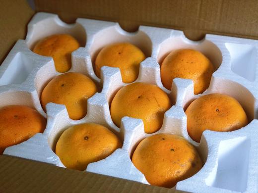 【酸酸甜甜好吃】浙江临海涌泉蜜桔 2020新果（仅售江浙沪地区） 商品图2