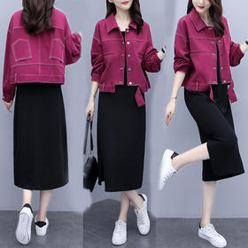 YYXS-8003大码女装两件套2020年秋季新款减龄连衣裙洋气显瘦套装