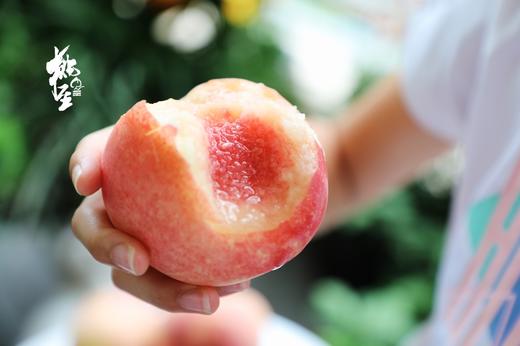 蜜桃 金秋红蜜 九枚精品果（五斤）礼盒装 桃香浓郁 商品图3