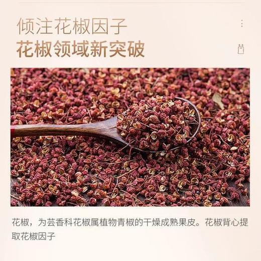 【第2条半价】SIVE花椒背心（三色可选） 商品图3