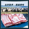 锡盟羔羊肉【羔羊排块】    1000g/袋 商品缩略图1
