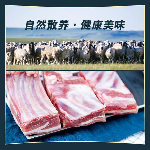 锡盟羔羊肉【羔羊排块】    1000g/袋 商品图1