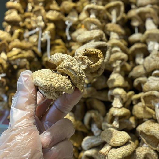 高山野生石渠干白菌 250g 商品图6