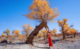  “辞去月薪3万工作的那一刻，我才开始真正的开心” 