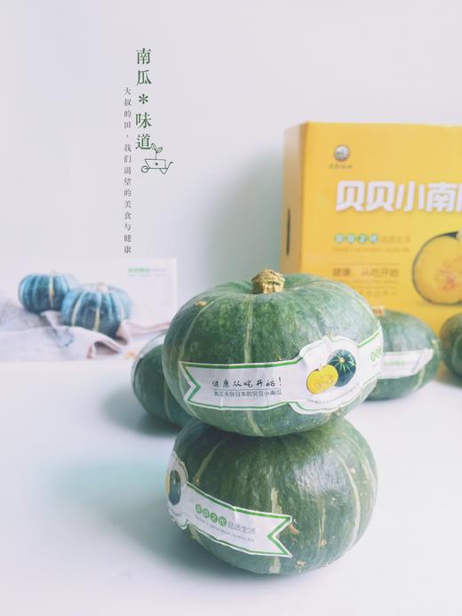 真正的贝贝南瓜2代 6个装4斤-4.5斤 商品图2