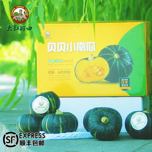 真正的贝贝南瓜2代 6个装4斤-4.5斤 商品图4
