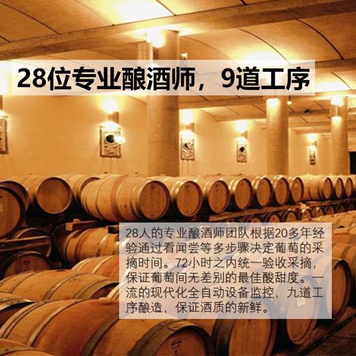 干露火玫瑰赤霞珠红葡萄酒（6瓶/箱）（包邮） 商品图4