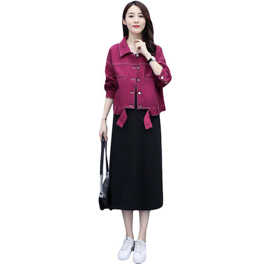 YYXS-8003大码女装两件套2020年秋季新款减龄连衣裙洋气显瘦套装 商品图4