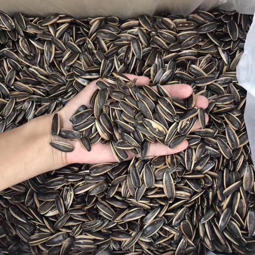 瓜子(多口味可选） 商品图1