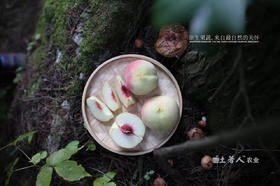 山东#金秋红蜜冰桃