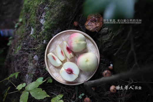 山东#金秋红蜜冰桃 商品图0