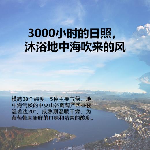 干露火玫瑰赤霞珠红葡萄酒（6瓶/箱）（包邮） 商品图2