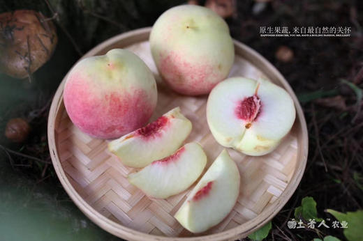 山东#金秋红蜜冰桃 商品图1