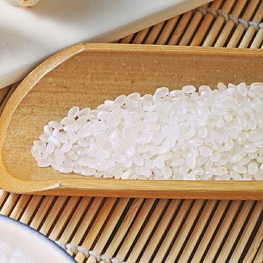 懒鬼当家懒香米10kg软香米生态新米家圆粒珍珠新粳米生态散装精选大米 商品图1