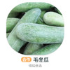 毛冬瓜（严选）约3斤 商品缩略图0