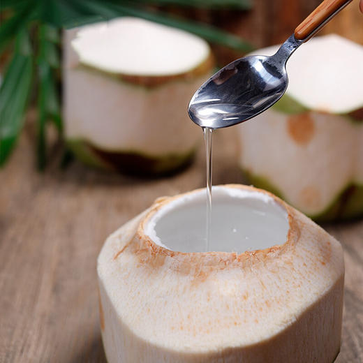 【海南·文昌】新鲜椰青 现摘 奶香十足 果肉口感好  椰子 商品图0