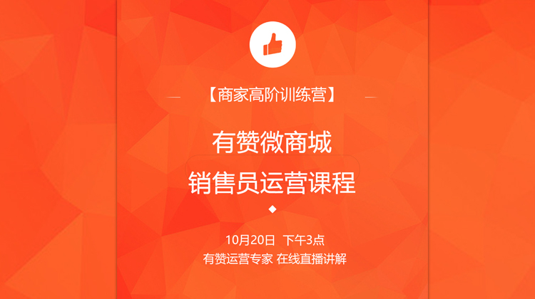 有赞微商城销售员运营课程