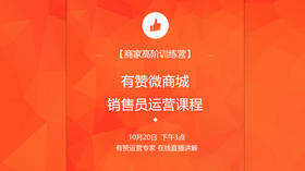 有赞微商城销售员运营课程