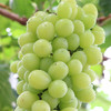 有机阳光玫瑰葡萄 4斤/6斤装 商品缩略图6