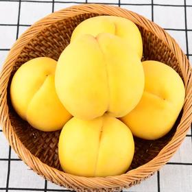 定金预售无规格固定金额