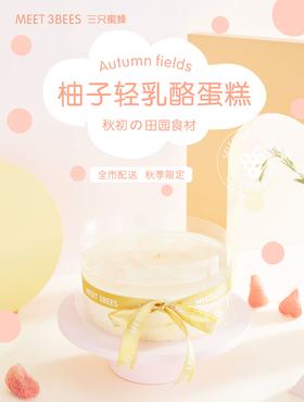 柚子轻乳酪蛋糕