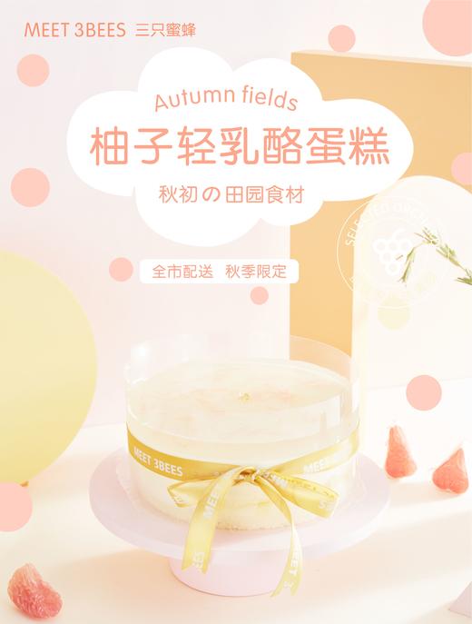 柚子轻乳酪蛋糕（会员券专用） 商品图0