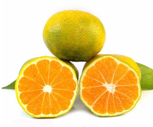 东江蜜桔1kg±50g 商品图2