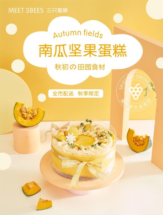 南瓜坚果蛋糕 商品图0