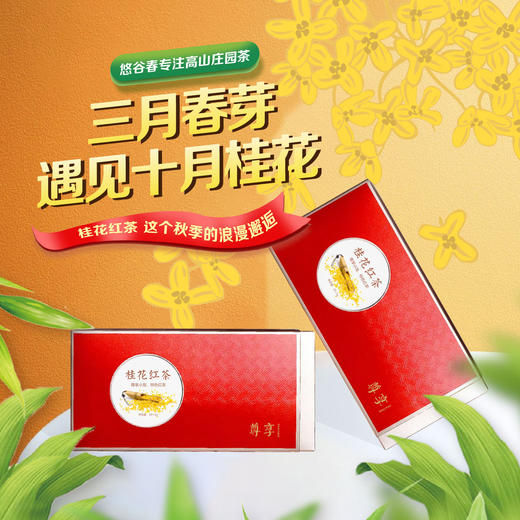 尊享桂花红茶试喝样品 商品图0