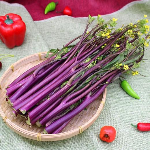 紫菜苔300g/把