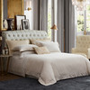 意大利进口埃及长绒棉四件套 亚瑟 商品缩略图0