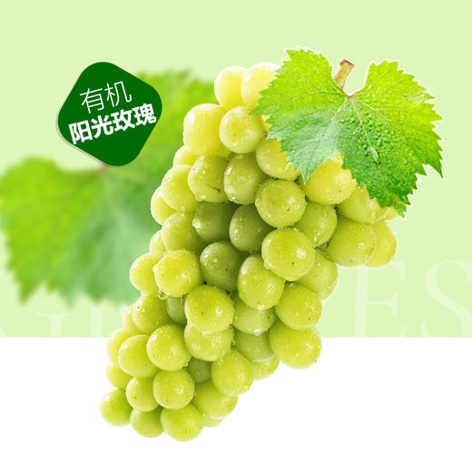 有机阳光玫瑰葡萄 4斤/6斤装 商品图1
