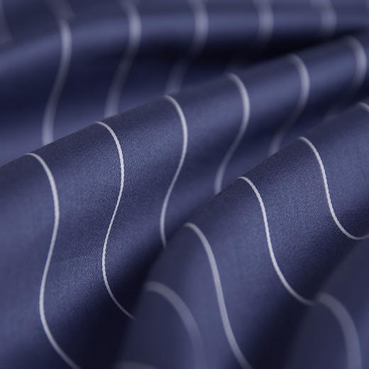 圣华金河谷长绒棉四件套 丽世 商品图4