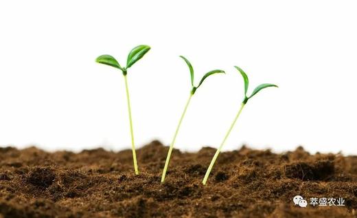 菌肥和菌剂的选择与使用 商品图0