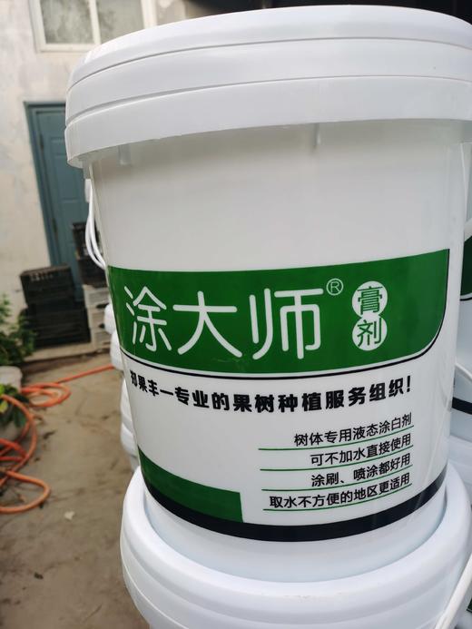 郑果丰新型果树专用涂白剂涂大师 商品图0