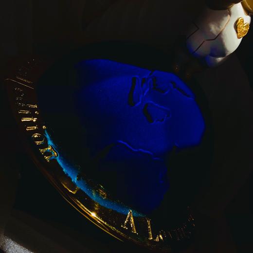 点赞地球 商品图1